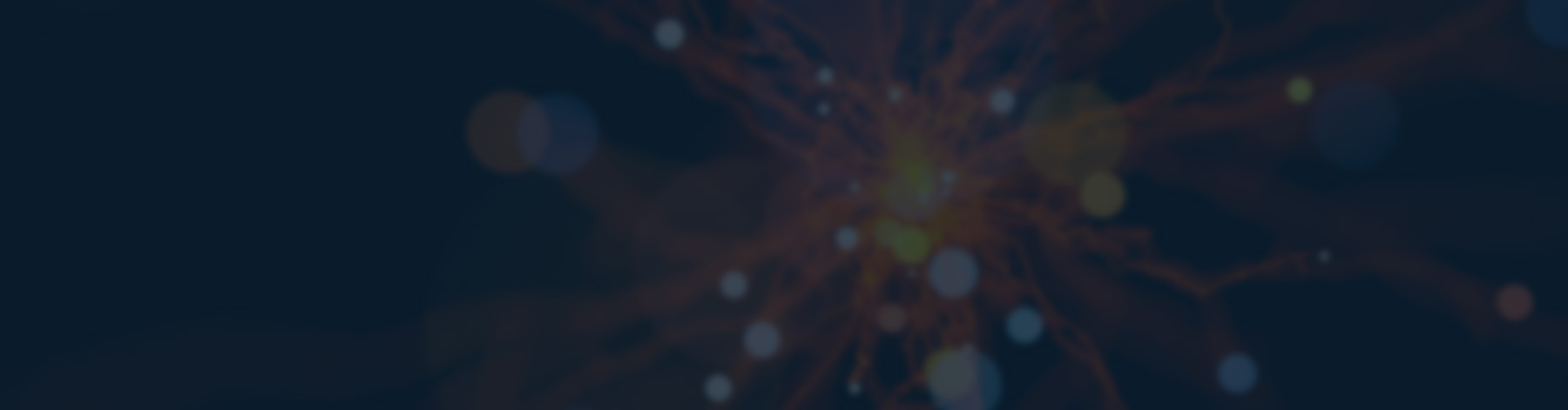 7 Rules E-Book Masthead